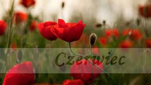 Byle do lata... czerwiec!