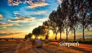 Pólmetek wakacji... sierpień przed nami!